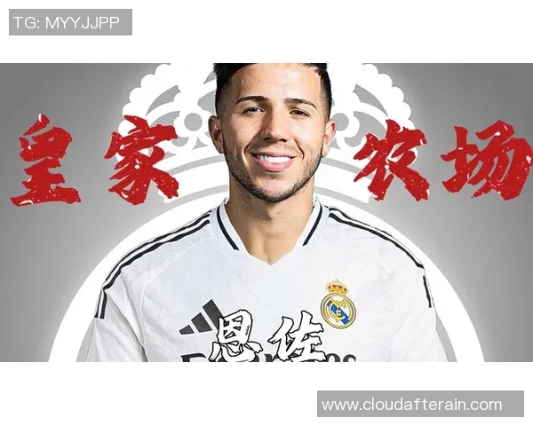 恩佐足球明星名字背后的故事与传奇成就解析